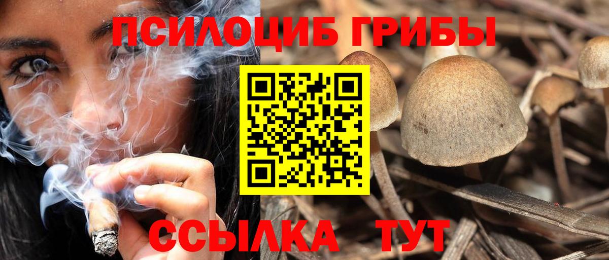 Выкса  Псилоцибиновые грибы Psilocybe  Псилоцибиновые грибы мухоморы  Вход с VPN 